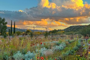 A garden with various plants and flowers, a fence, and a distant view of hills. - Serene Studio Near Wineries, Oak Creek & Sedona (Cornville)