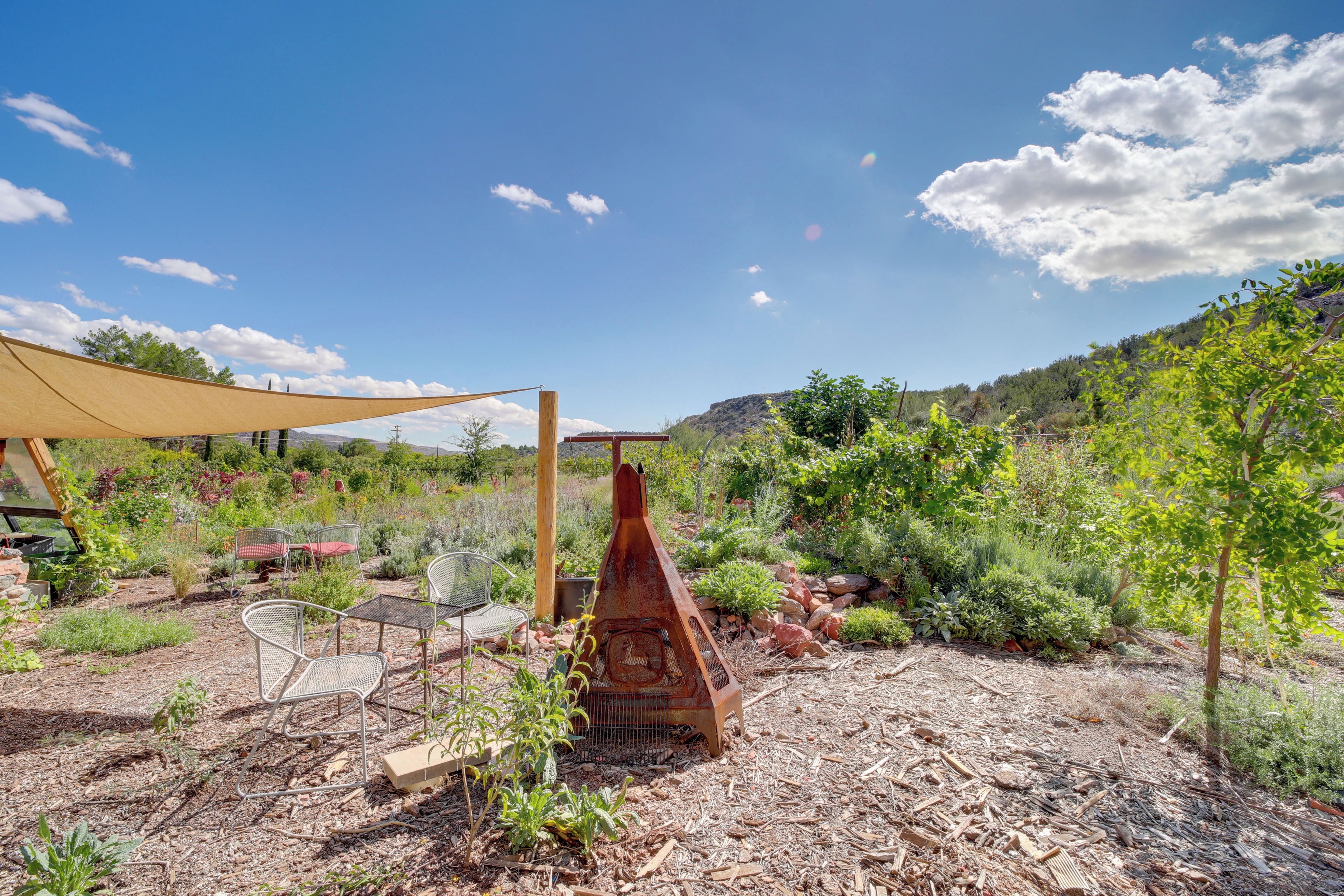 A rustic outdoor seating area with metal chairs and a wooden table, surrounded by a garden with various plants and a large tree.