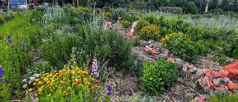 A garden with various plants and flowers, a stone wall, and a building in the background.
