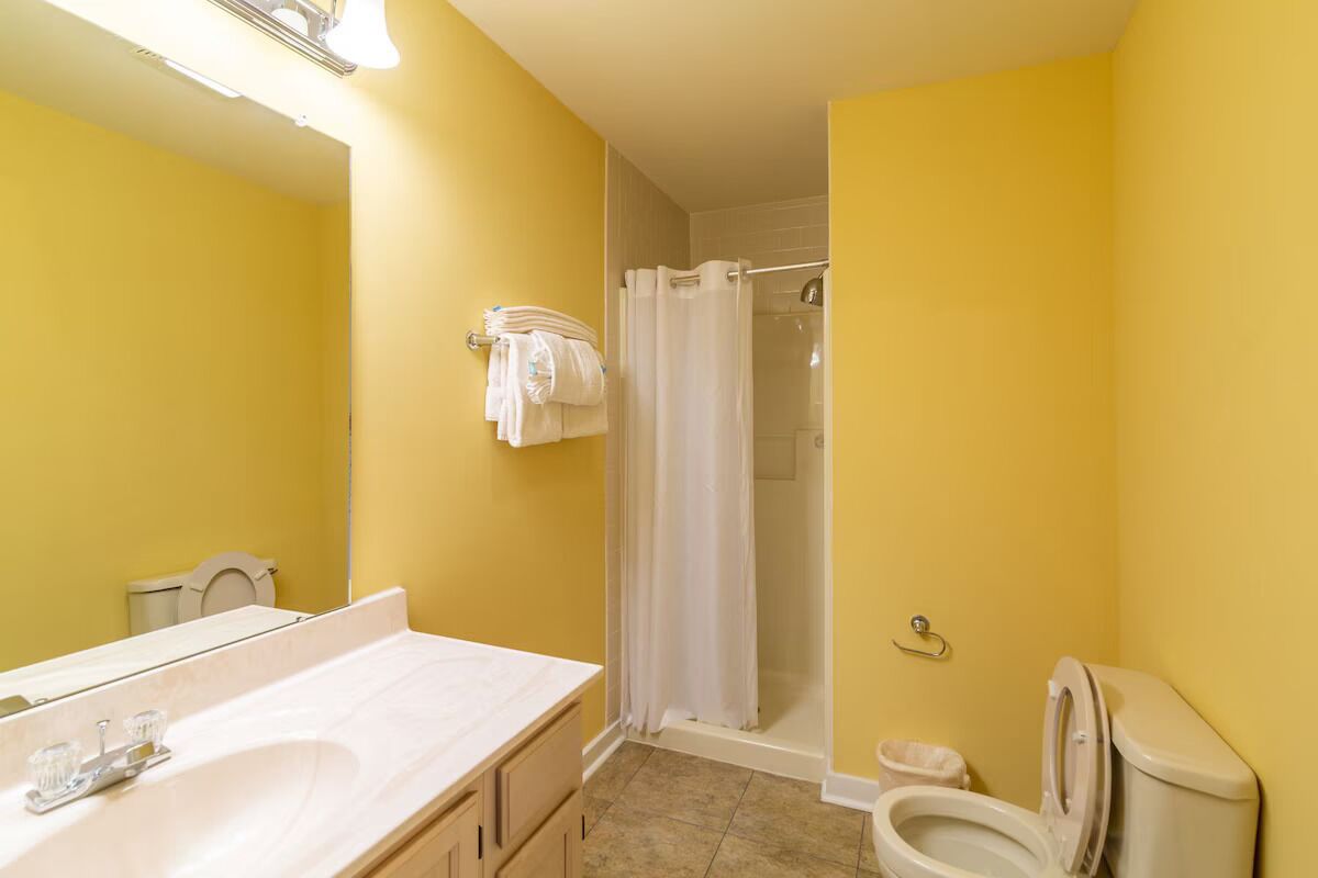 Hair dryer, towels, soap, toilet paper