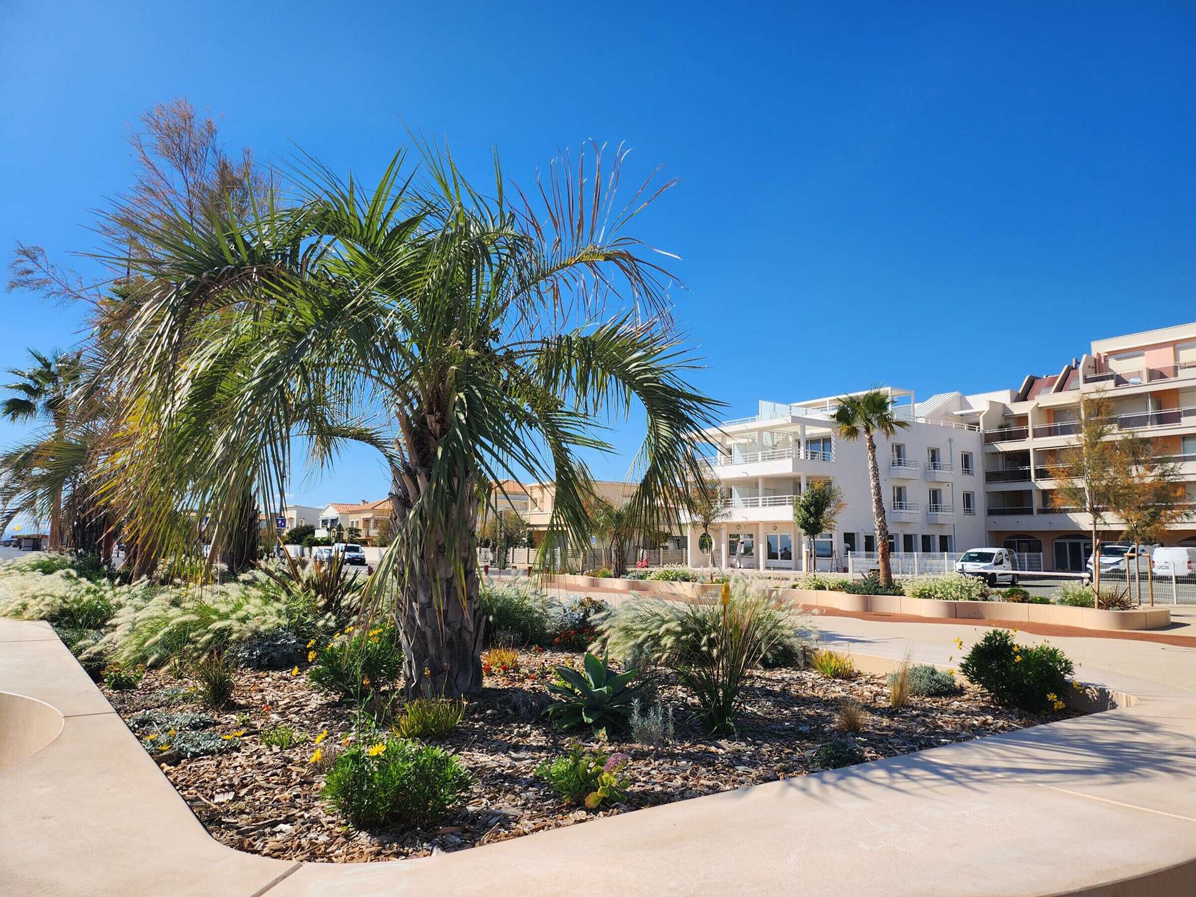 Zona residencial con una palmera, un sendero de concreto y un edificio de varios pisos con balcones.