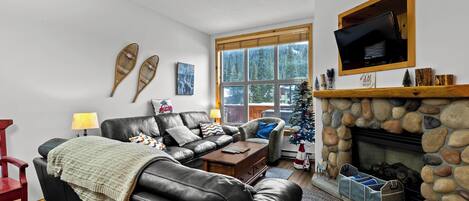 TV, fireplace, DVD player