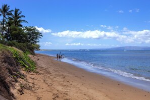Ein Strand mit blauem Himmel, Palmen und ruhiger See.