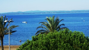 A coastal view with a clear blue sea, palm trees, and a distant shoreline with buildings. - Seafront apartment in Roses (Roses)