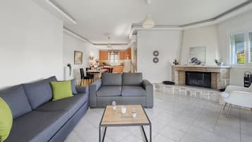 TV, fireplace, books