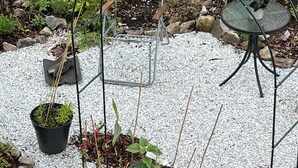 Un jardín con diversas plantas, una mesa metálica y una silla.