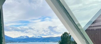 Vintage apartment with pets