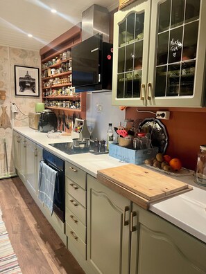 Microwave, oven, stovetop, dishwasher - Vintage apartment with pets (Møre og Romsdal)