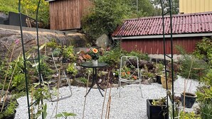 Un jardín con un arco de metal, diversas plantas en macetas, una pequeña mesa y un cobertizo de madera al fondo.