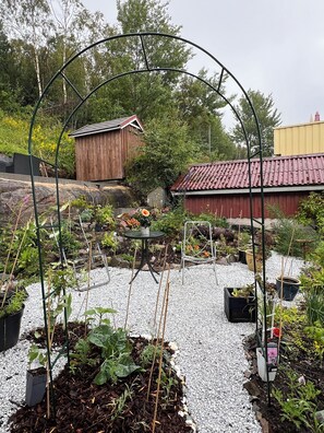 Property grounds - Vintage apartment with pets (Møre og Romsdal)