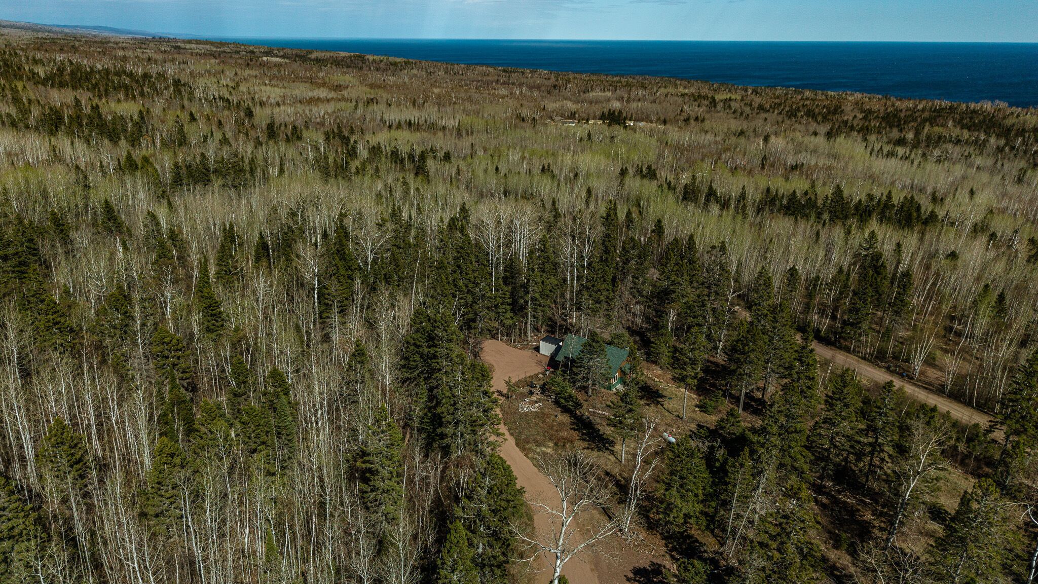 A forested area with a cabin and a dirt path.