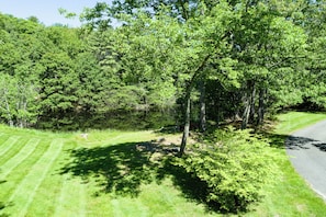 A grassy area with trees and a paved path. - Heron's Perch Beautiful Pondside Home with Screened Porch (Brunswick)