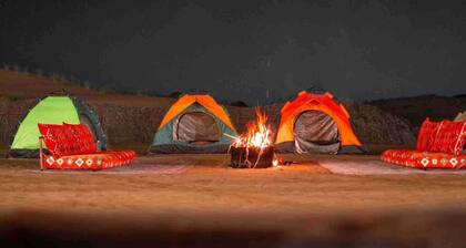 Evening Desert Safari with Desert Camping with dinner and liver shows
