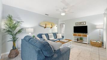 Smart TV, fireplace, DVD player, books