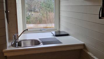 Fridge, microwave, stovetop, electric kettle