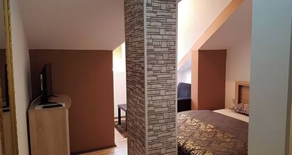 Apart Hotel Solaris: Standard Apartment 1: 20 m2