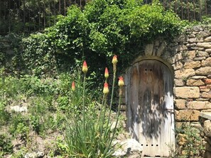 Exterior detail - Enjoy nature in an enchanting and fantastic setting in Cucuron (Cucuron)