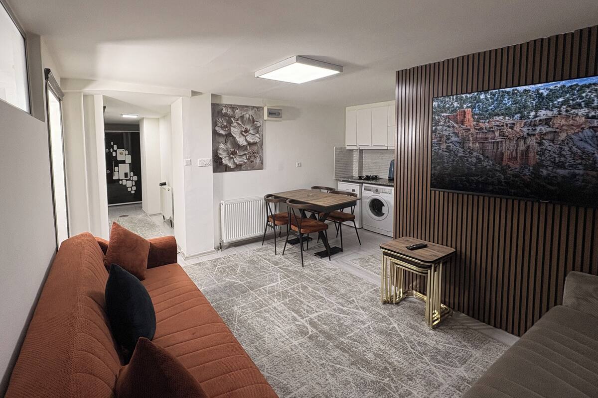 A modern living room with a sofa, a dining table, and a kitchen area.