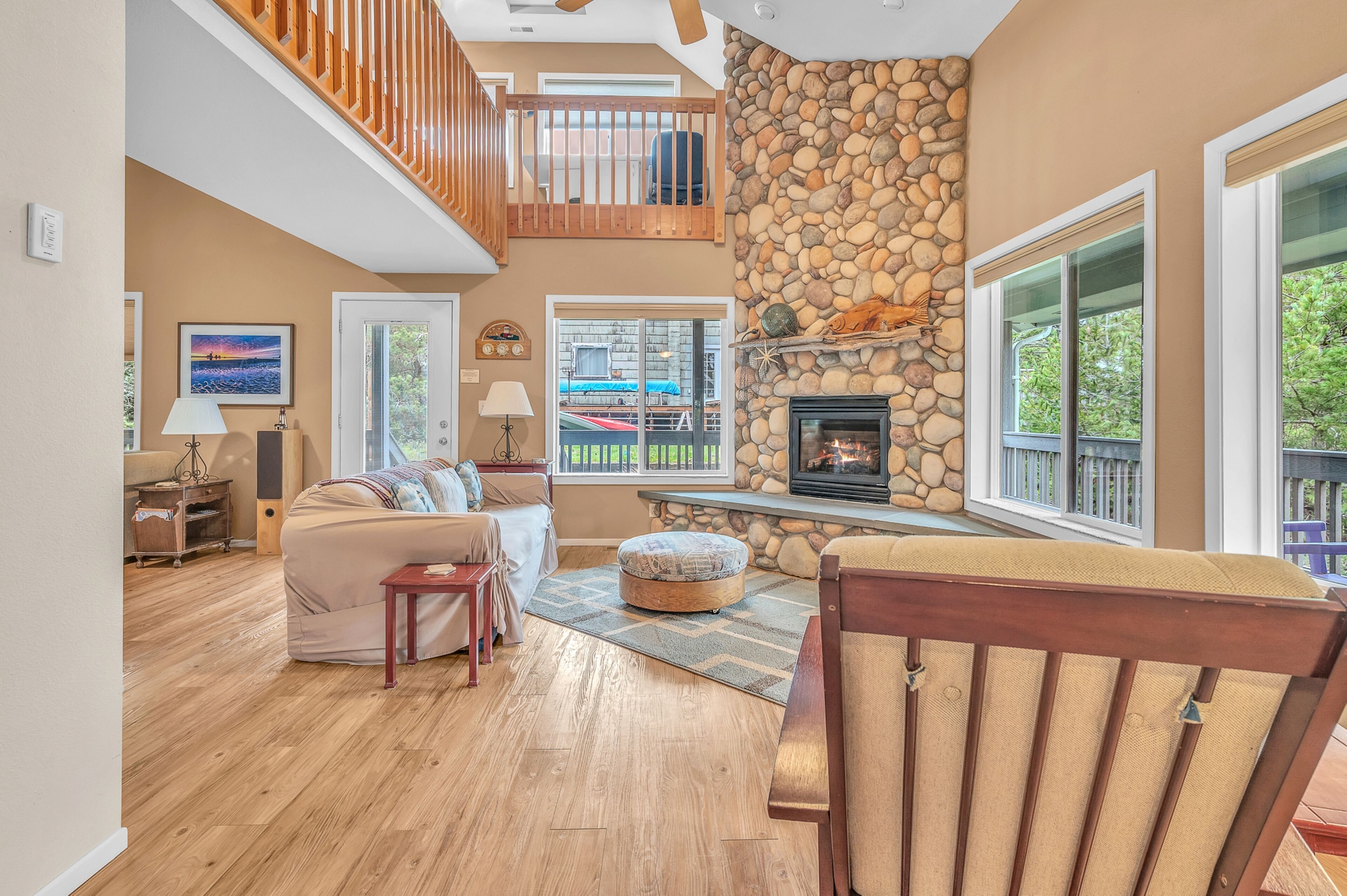 TV connectée, cheminée, lecteur de DVD, livres