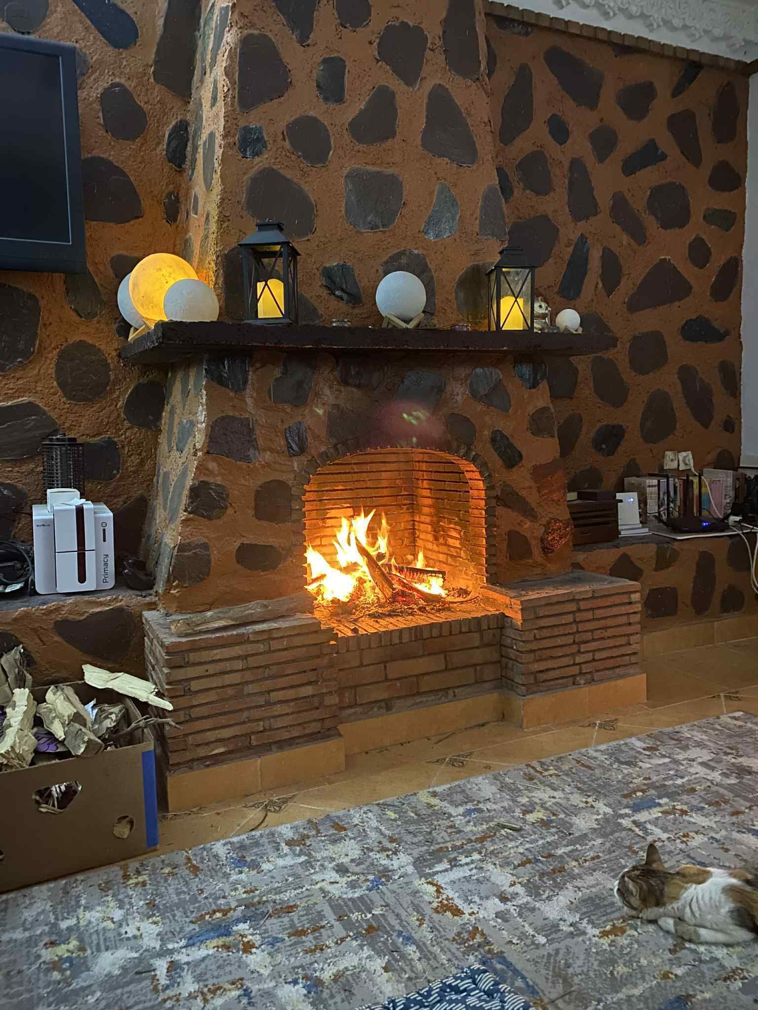 Ein Steinkamin mit Feuer, ein an der Wand befestigter Fernseher und eine Katze auf dem Boden.