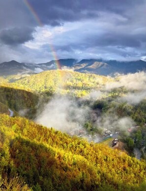 Eine gebirgige Landschaft mit Regenbogen, dichtem Wald und einer kurvenreichen Straße, die durch das Tal führt.