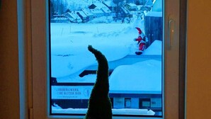 A window with a view of a snowy landscape, a sign for 'LLHRBERGERK UBE ROTER BAR', and a small Christmas tree on the windowsill. - Bergstadthaus St. Andreasberg for families & friends, child-friendly & central (Sankt Andreasberg)