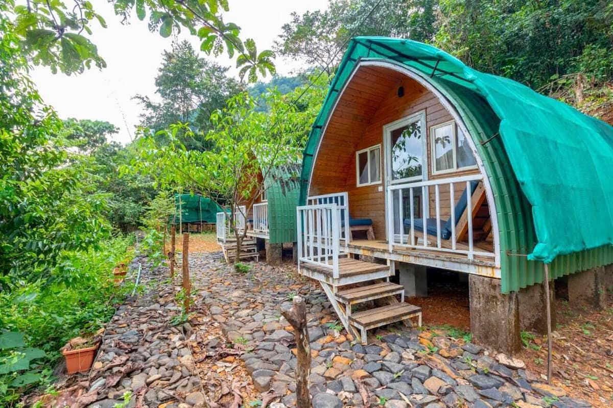 A wooden cabin with a green roof, surrounded by lush greenery and a stone pathway.