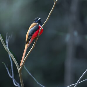 Standard Shared Dormitory | Miscellaneous