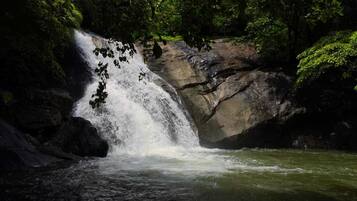 Standard Shared Dormitory | Miscellaneous