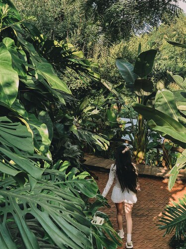 Harmony Botanical Garden Stay - 300 Plant Species, Natural Stream and Small Pool