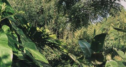 Harmony Botanical Garden Stay - 300 Plant Species, Natural Stream and Small Pool