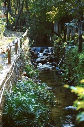 Miscellaneous - Harmony Botanical Garden Stay - 300 Plant Species, Natural Stream and Small Pool (Buon Ma Thuot)