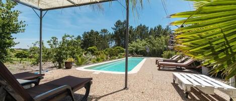 Seasonal outdoor pool, pool umbrellas, pool loungers