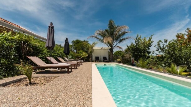 Une piscine entourée de verdure, avec des chaises longues et des parasols.