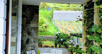 Pensive Villa - Nuwara Eliya