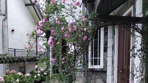 A garden with a brick pathway, flowering plants, and a white building with a window and a door. - Pensive Villa - Nuwara Eliya (Nuwara Eliya)