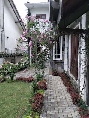 Property grounds - Pensive Villa - Nuwara Eliya (Nuwara Eliya)