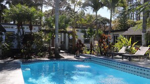 Une piscine dont le bord est recouvert de carreaux, entourée de palmiers et d’autres plantes tropicales.