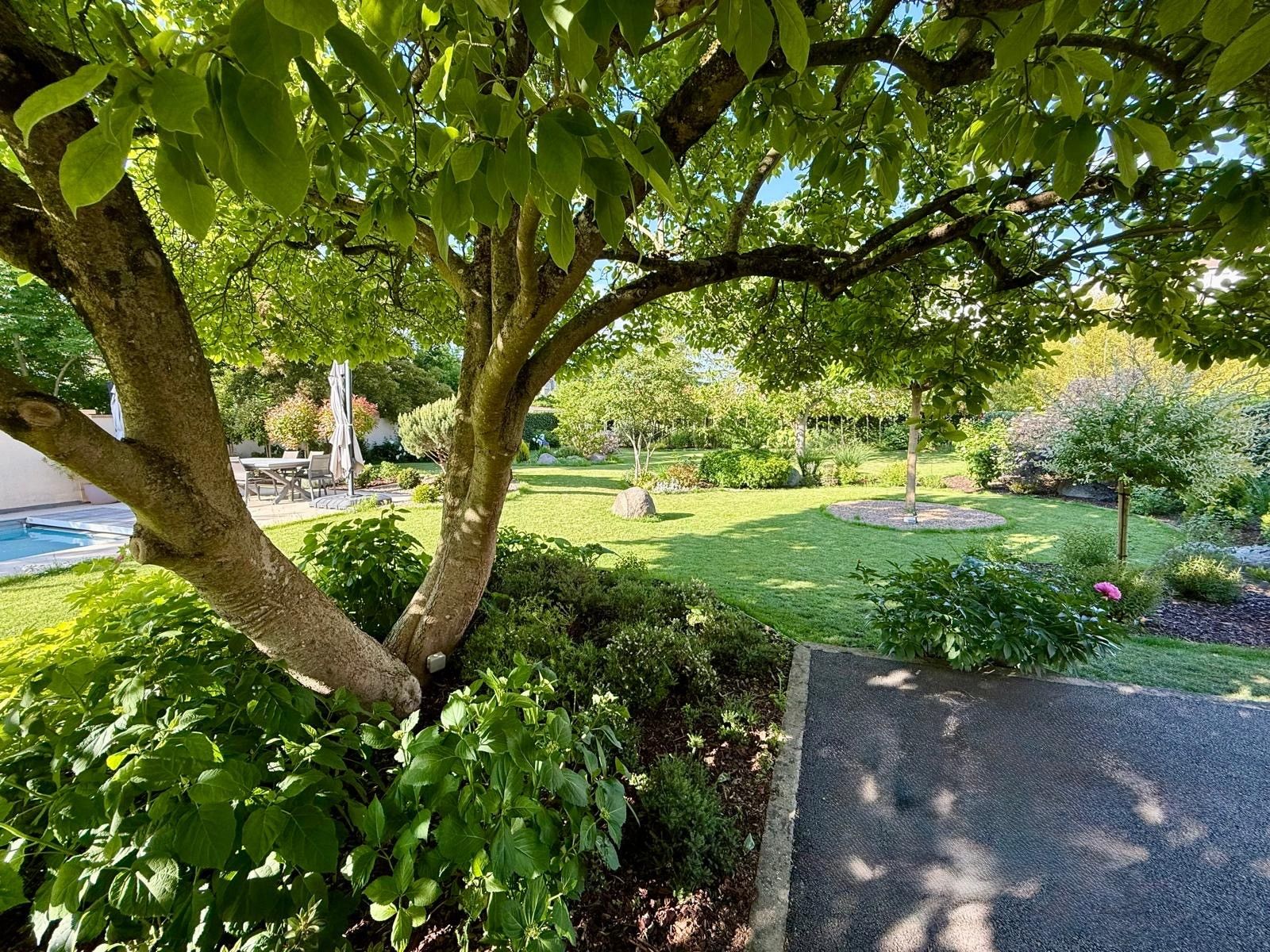 Een aangelegde tuin met een zwembad, bomen en een verhard pad.