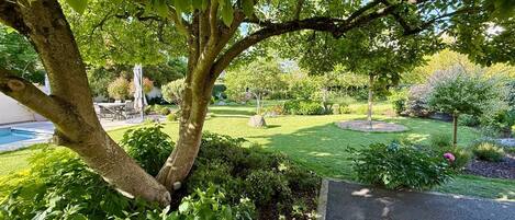 A landscaped garden with a swimming pool, trees, and a paved walkway.
