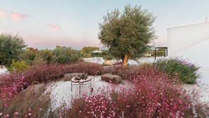 A garden with a variety of plants and a table with rocks. - Villa Ninetta Ostuni (Ostuni)