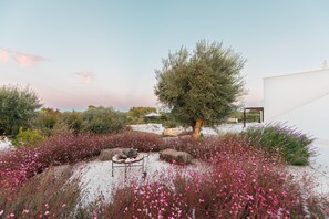 Property grounds - Villa Ninetta Ostuni (Ostuni)