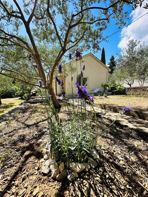 Property grounds - BEACH HOUSE BOl (Bol)