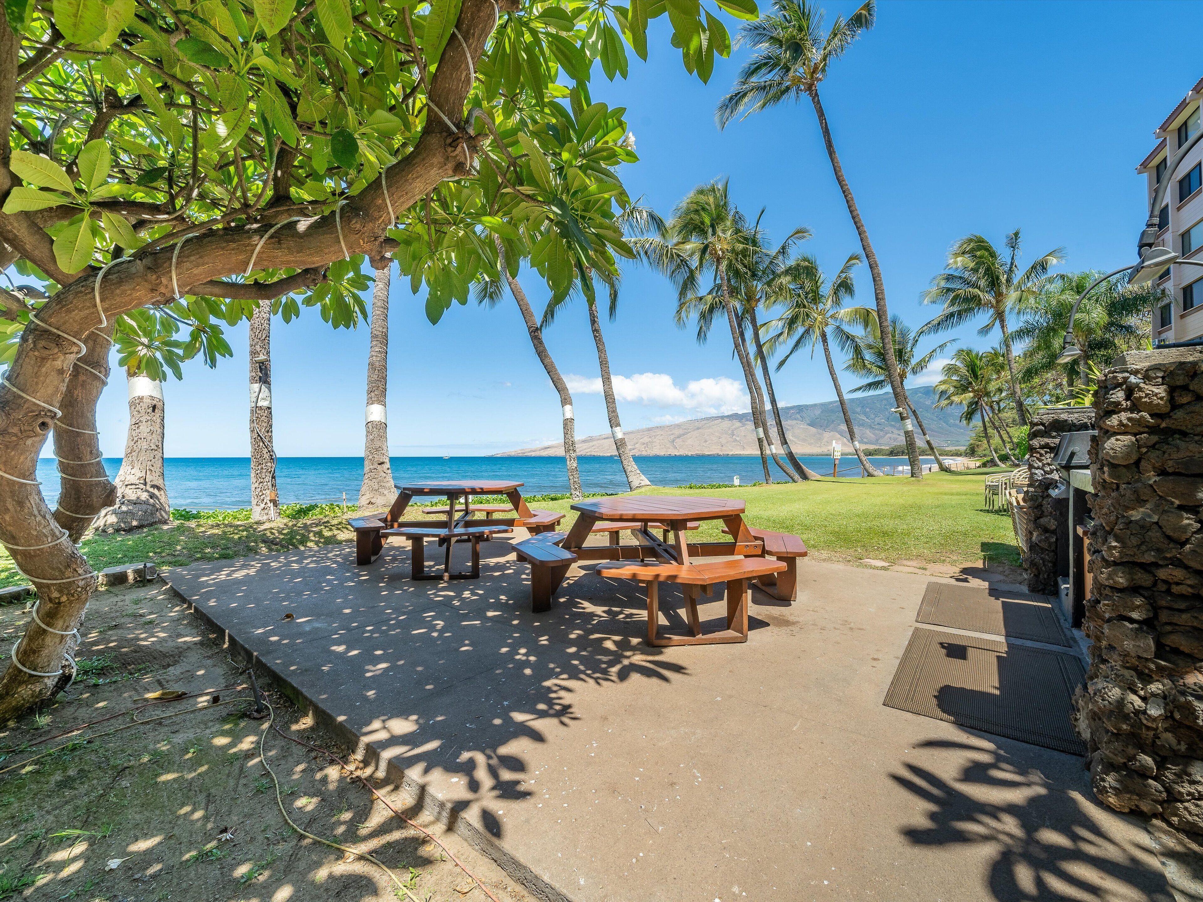 Un patio frente a la playa con mesas de picnic, palmeras y vista al océano.