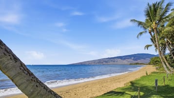 A beach with a large tree trunk in the foreground, a sandy shore, and a clear blue sky.
