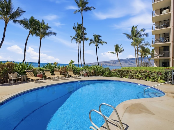 Pool - Direct Beachfront Living in South Maui (Kihei)