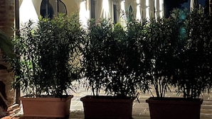 A building with a large arched entrance, potted plants in the foreground, and a balcony with flowers. - Il Salice B&B Country Luxury (Due Carrare)