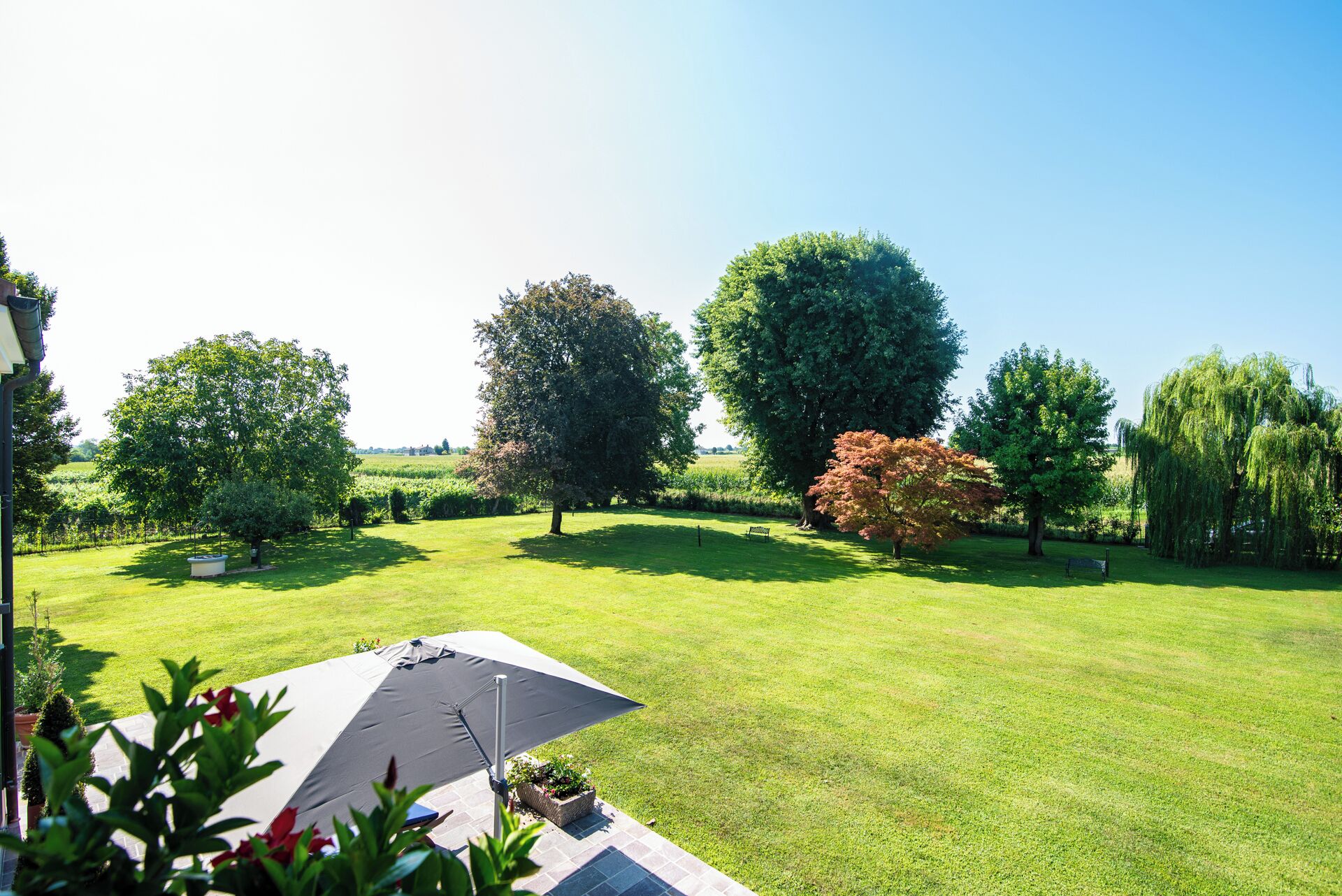 A well-maintained lawn with a large umbrella, several trees, and a distant view of a field.