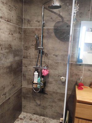 Douche, sèche-cheveux, serviettes fournies, papier toilette