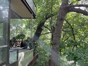 Property grounds - MAGICAL LIVING -2 BEDROOM GLASS TREEHOUSE ON THE BELTLINE (Atlanta)